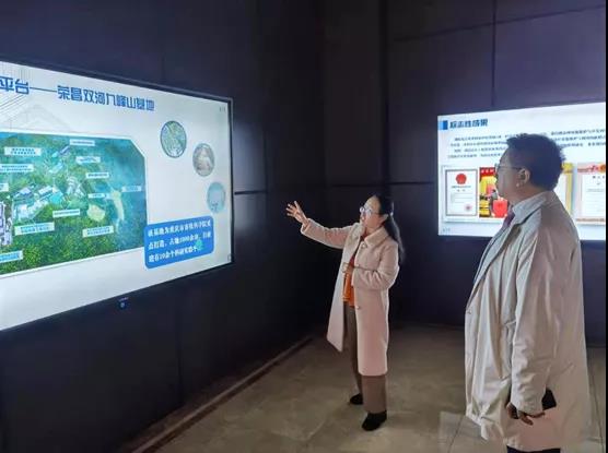 亿德体育app入口