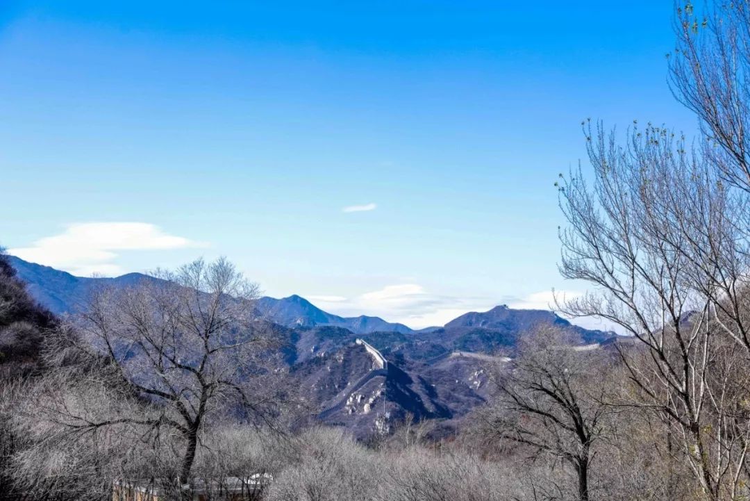 亿德体育app入口