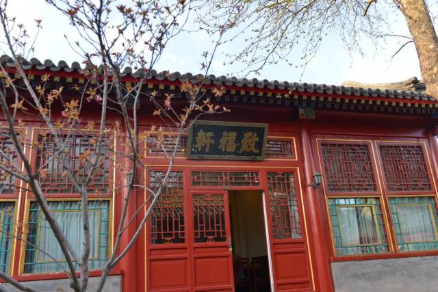 亿德体育app入口