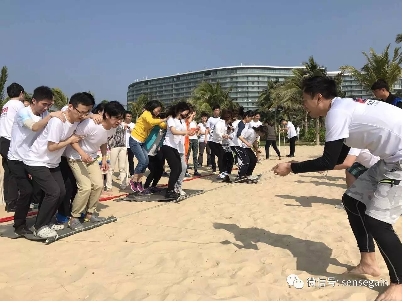 亿德体育app入口