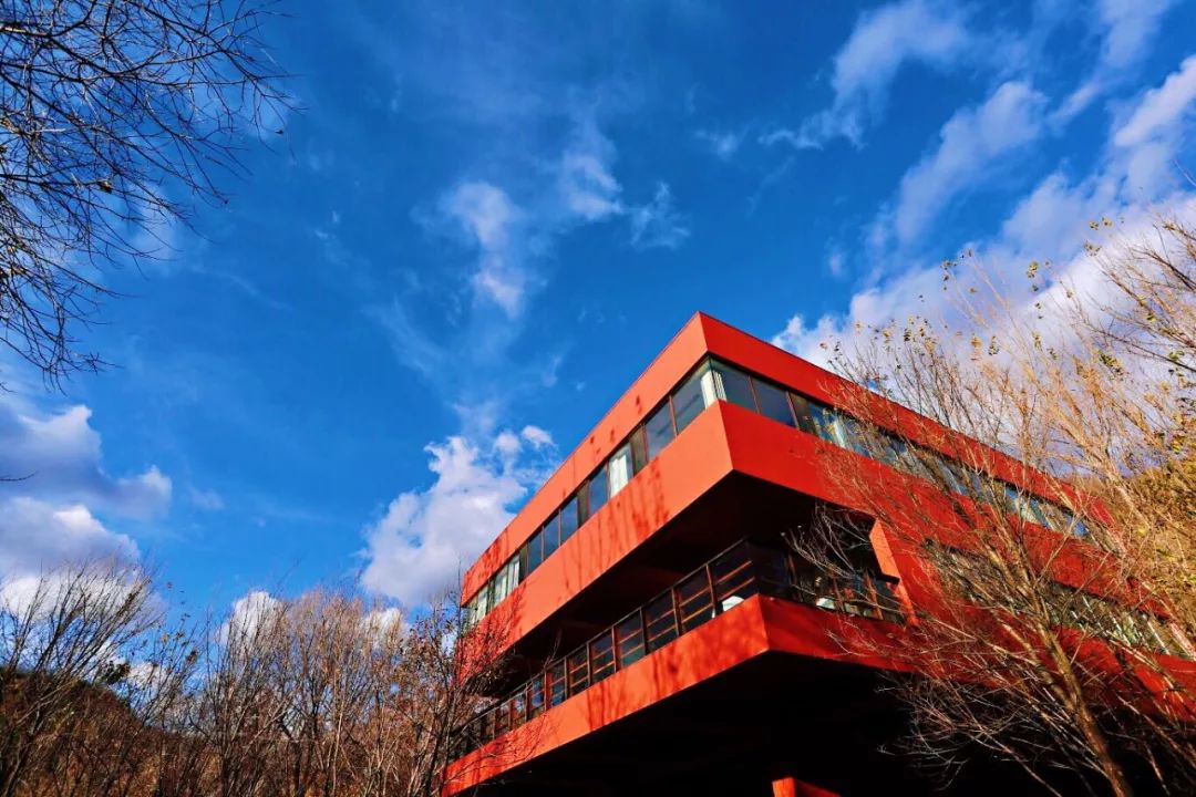 亿德体育app入口