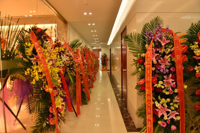 亿德体育app入口