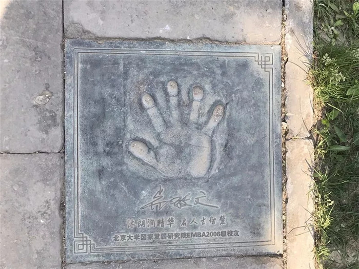 亿德体育app入口