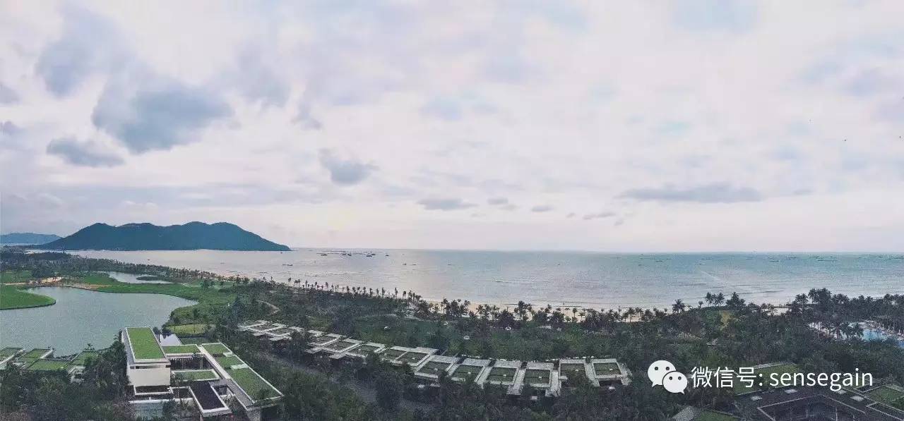 亿德体育app入口