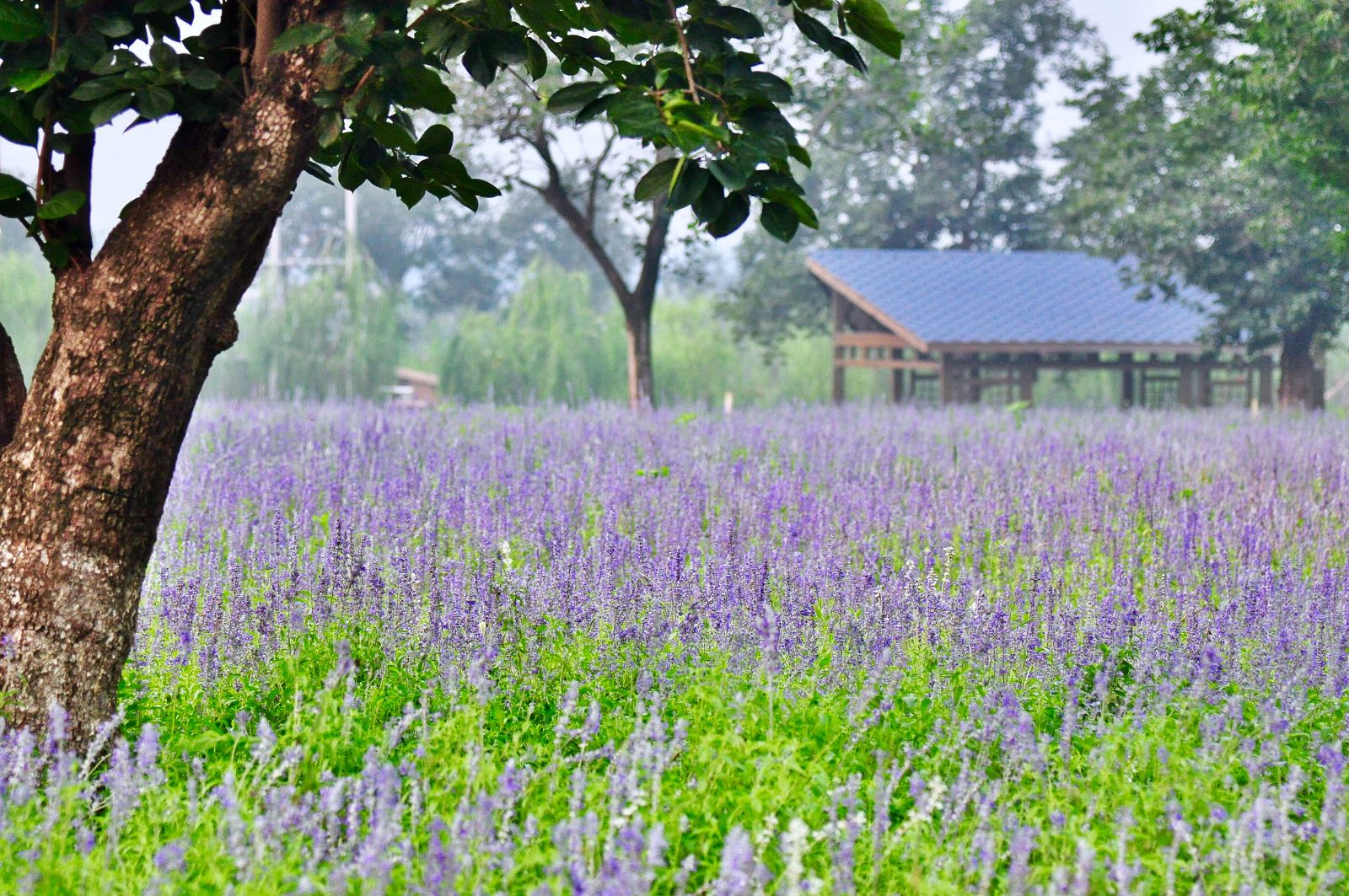 亿德体育app入口