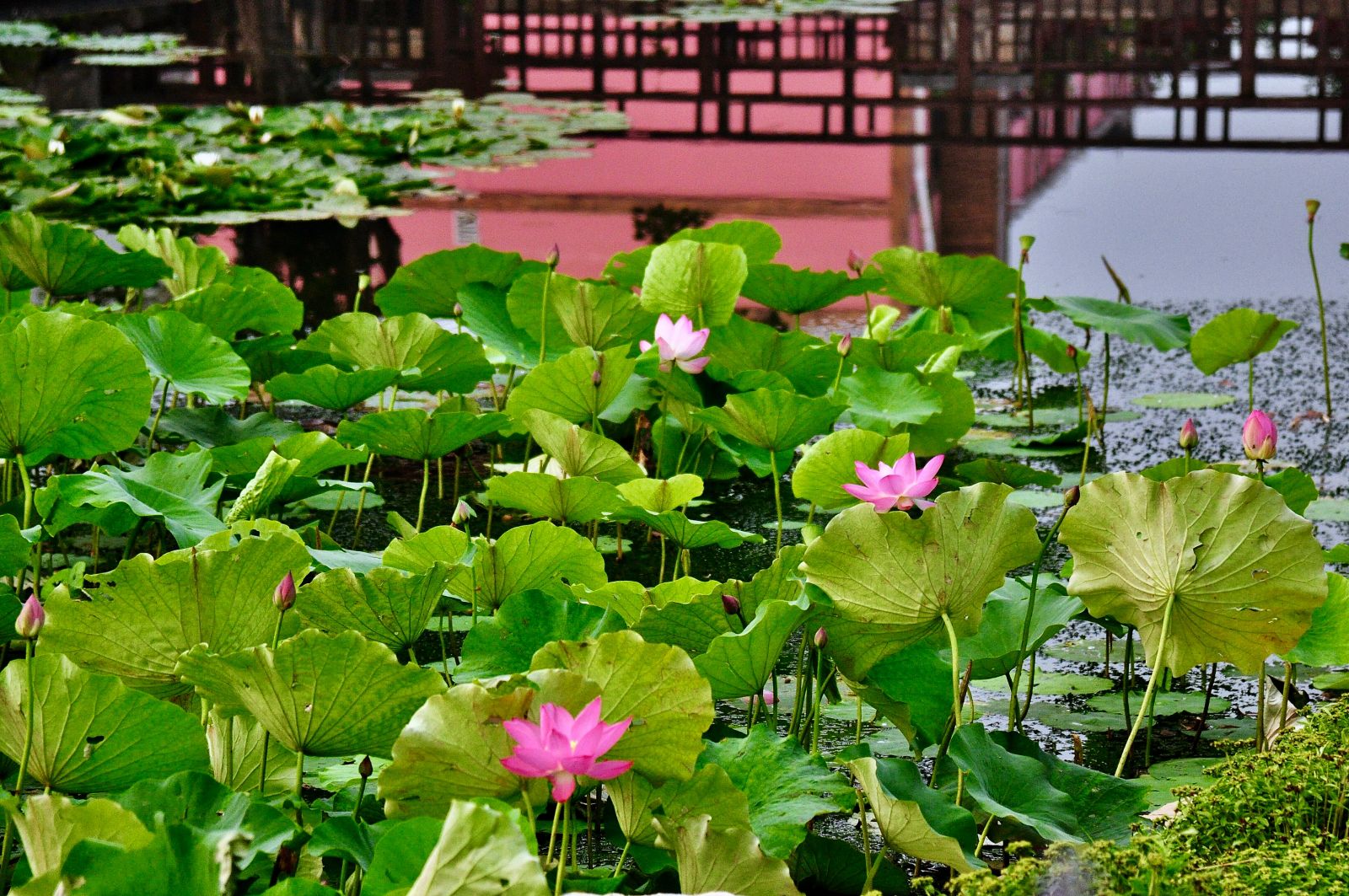 亿德体育app入口