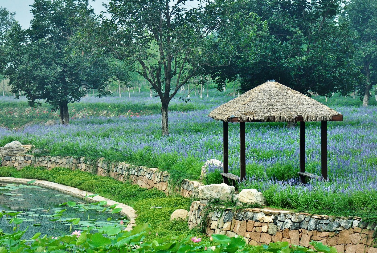 亿德体育app入口