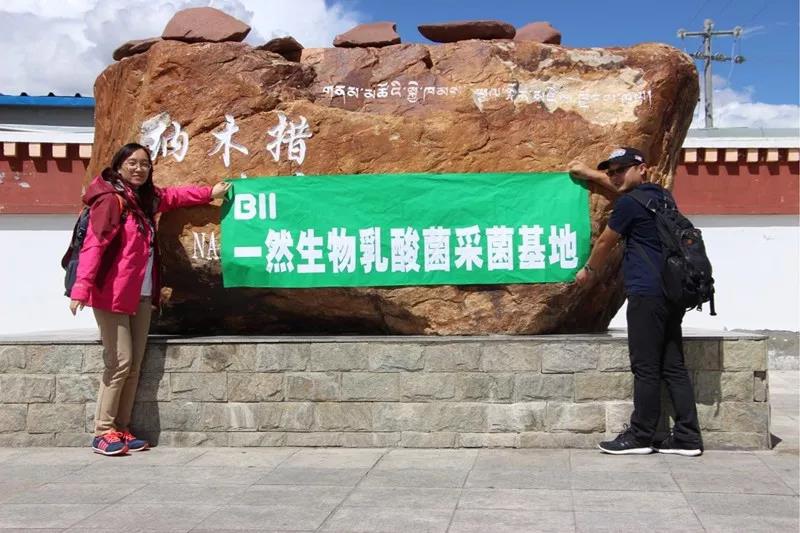 亿德体育app入口
