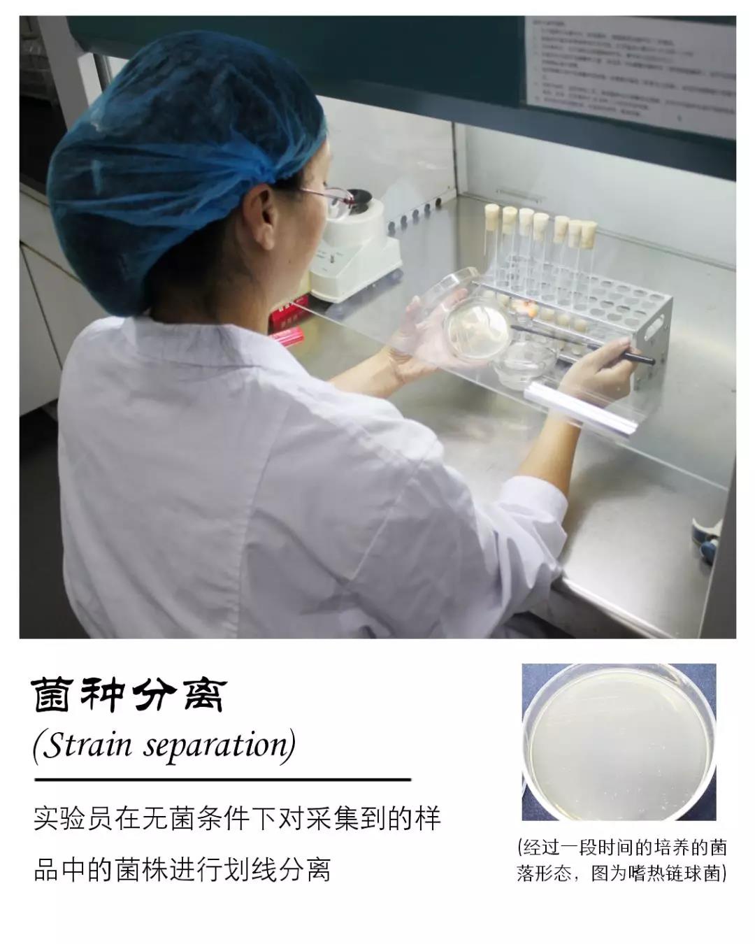 亿德体育app入口