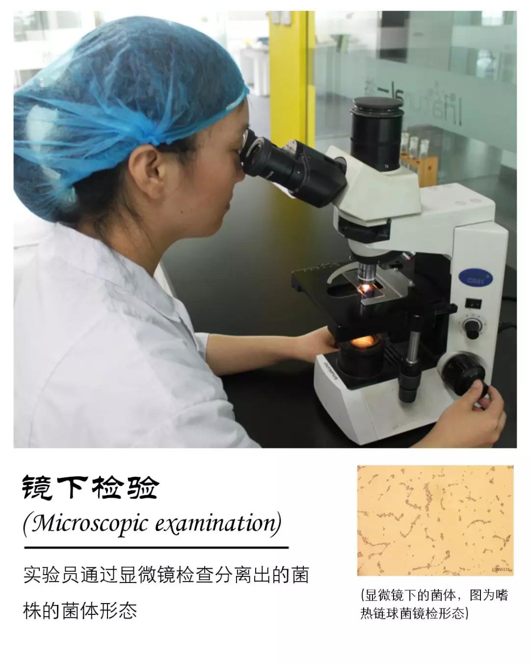 亿德体育app入口