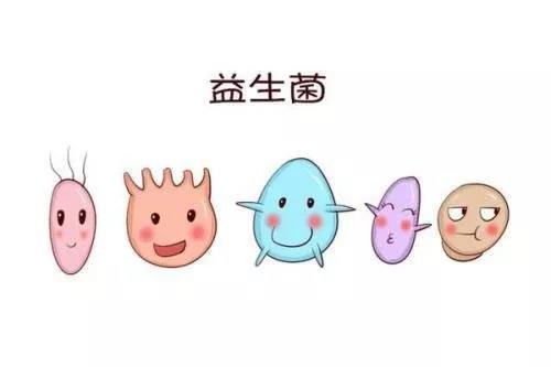 亿德体育app入口