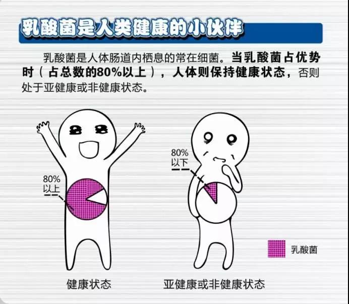 亿德体育app入口
