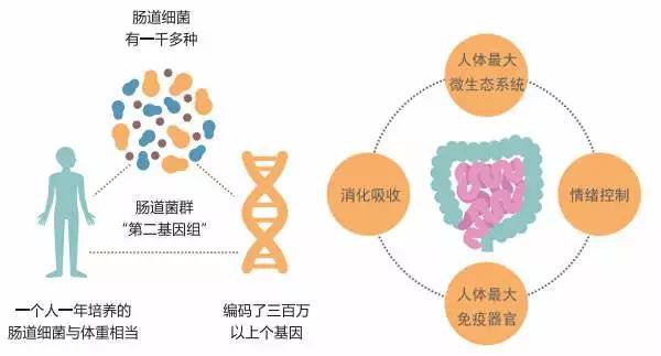 亿德体育app入口